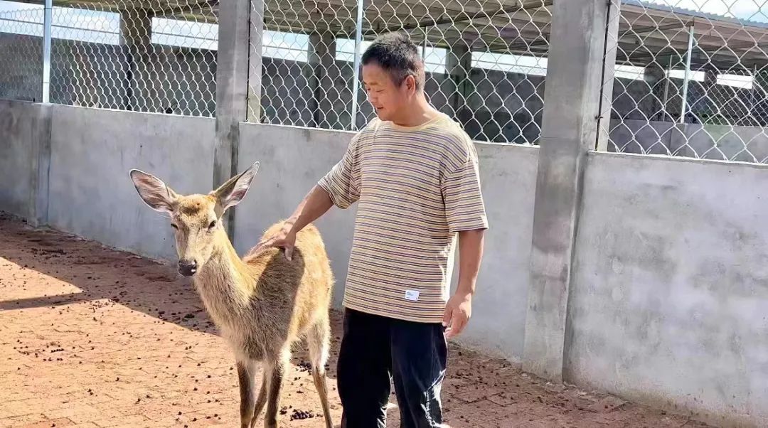 平博88网址